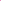 81OWrg-LRvL.jpg - Imagen 4